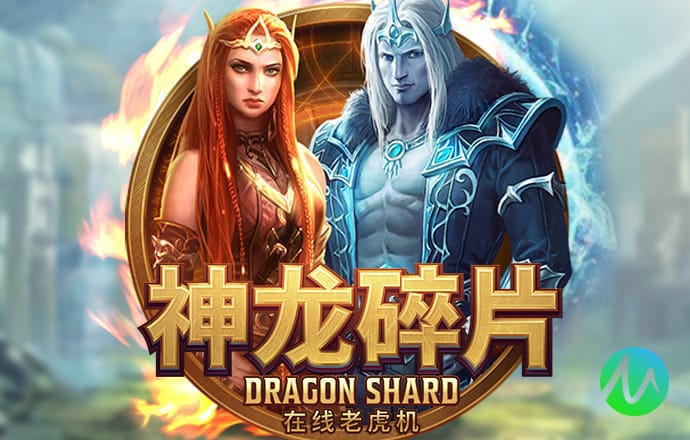 8x8小皇冠2020